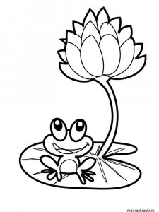 Frog coloring page - picture 37
