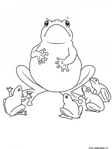 Frog coloring page - picture 39