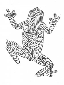 Frog coloring page - picture 4