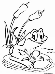 Frog coloring page - picture 41