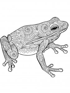 Frog coloring page - picture 5