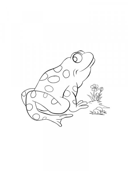 Frog coloring pages