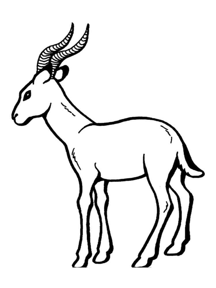 Gazelle coloring pages