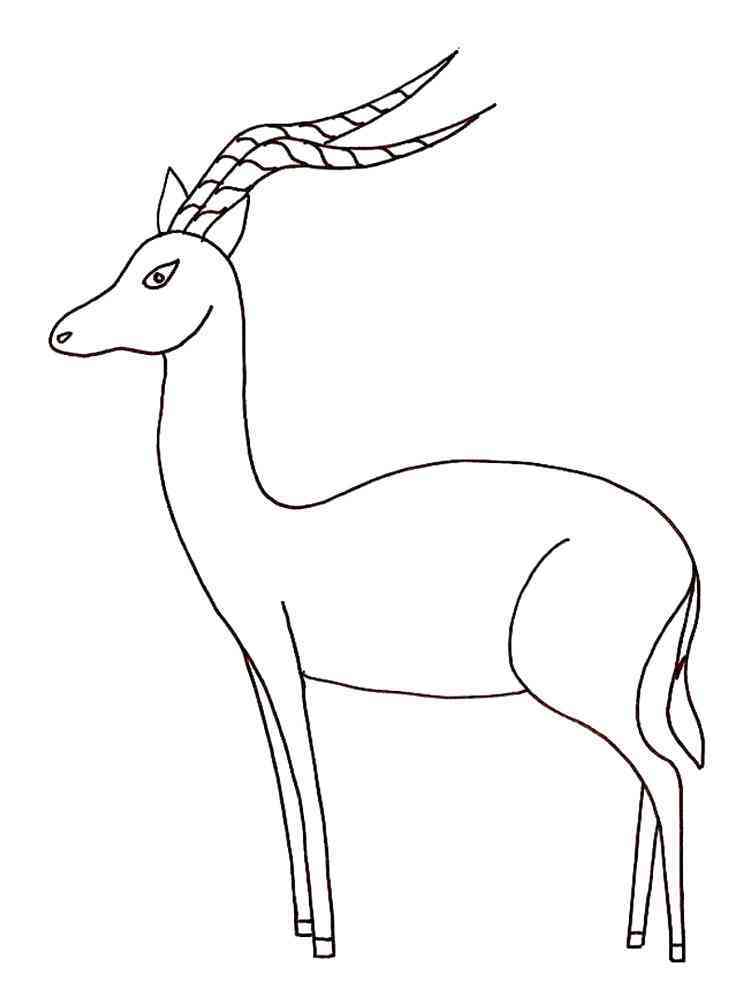 Free Gazelle coloring pages. Download and print Gazelle coloring pages