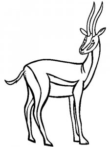 Gazelle coloring page - picture 10