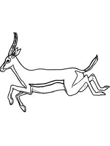 Gazelle coloring page - picture 12