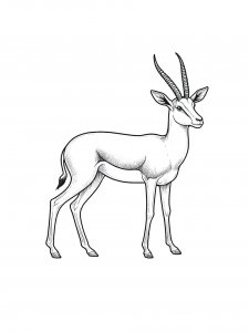 Beautiful Gazelle Coloring Page