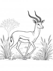 Graceful Gazelle Coloring Page
