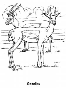 Gazelle coloring page - picture 3