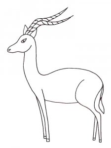 Gazelle coloring page - picture 4