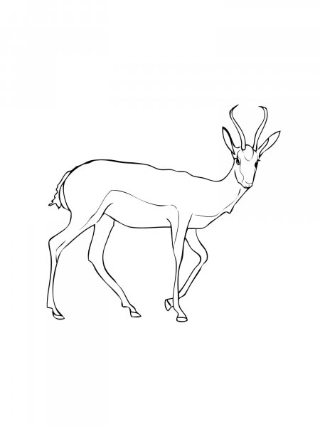 Gazelle coloring pages