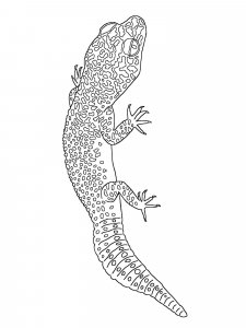 Gecko coloring page - picture 1