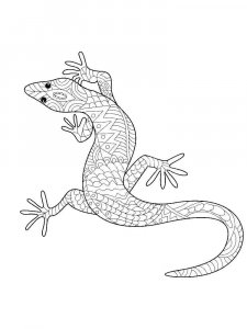 Gecko coloring page - picture 2