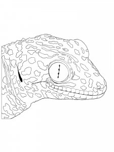 Gecko coloring page - picture 4