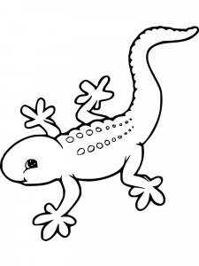 Gecko coloring page - picture 5