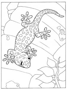 Gecko coloring page - picture 6