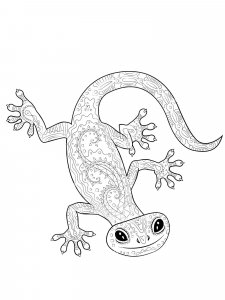 Gecko coloring page - picture 7