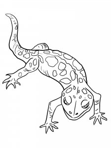 Gecko coloring page - picture 8