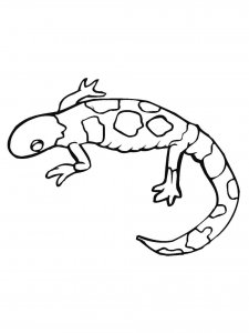 Gecko coloring page - picture 9