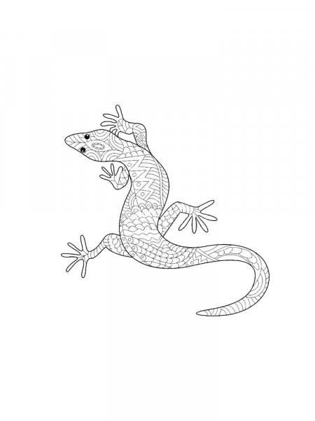 Gecko coloring pages