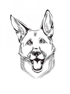 German Shepherd coloring page - picture 11