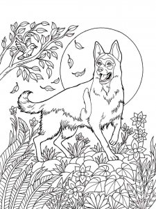 German Shepherd coloring page - picture 15