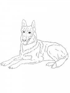 German Shepherd coloring page - picture 17