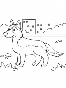 German Shepherd coloring page - picture 18