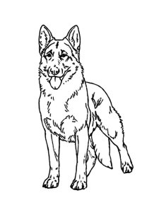 German Shepherd coloring page - picture 2