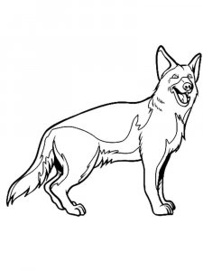 German Shepherd coloring page - picture 20
