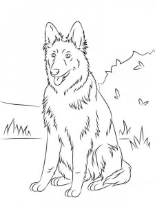 German Shepherd coloring page - picture 4