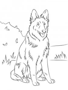 German Shepherd coloring page - picture 8