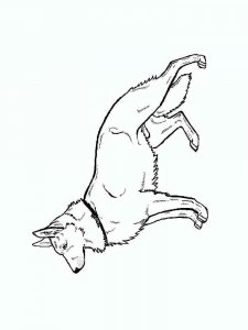 German Shepherd coloring page - picture 9