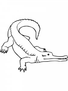 Gharial coloring page - picture 10