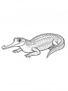 Amazing Gharial Coloring Page