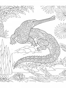Gharial coloring page - picture 4