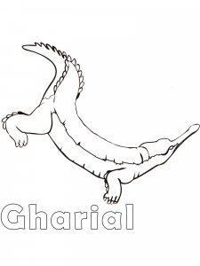 Gharial coloring page - picture 5
