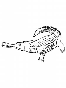 Gharial coloring page - picture 7