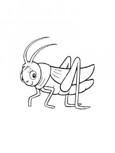 Grasshopper Coloring Pages 40
