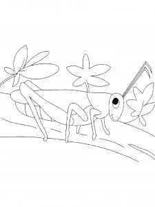 Grasshopper Coloring Pages 41