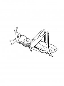 Grasshopper Coloring Pages 44