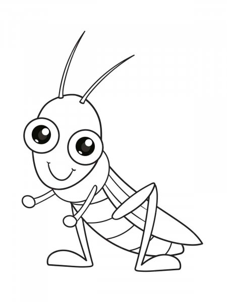 Grasshopper coloring pages