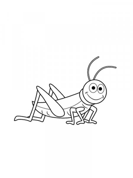 Grasshopper coloring pages