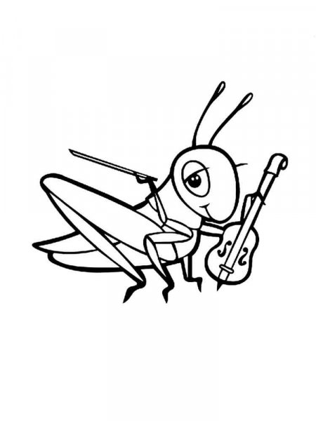 Grasshopper coloring pages