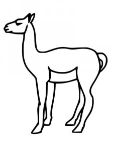 Guanaco coloring page - picture 5