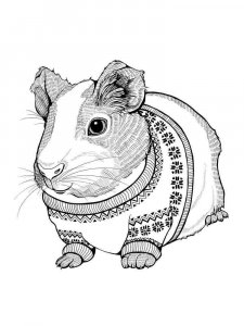 Guinea Pig coloring page - picture 10