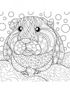 Guinea Pig coloring page - picture 11