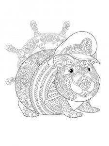 Guinea Pig coloring page - picture 12