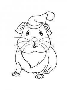 Guinea Pig coloring page - picture 19