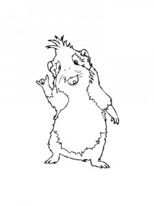 Guinea Pig coloring page - picture 26